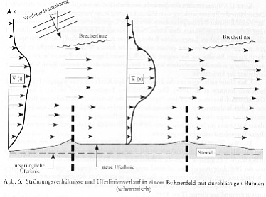 Wirkungsweise Holzbuhnen Heiligenhafen Ostsee