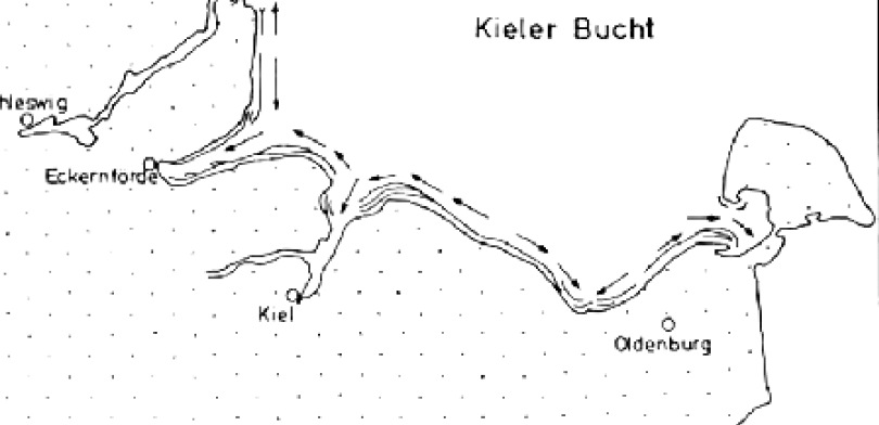 Wirkungsweise von durchlässigen Holzbuhnen Strand von Heiligenhafen